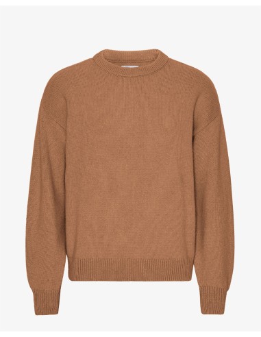 Oversized Merino Wool Crew - Sahara Camel pas cheres